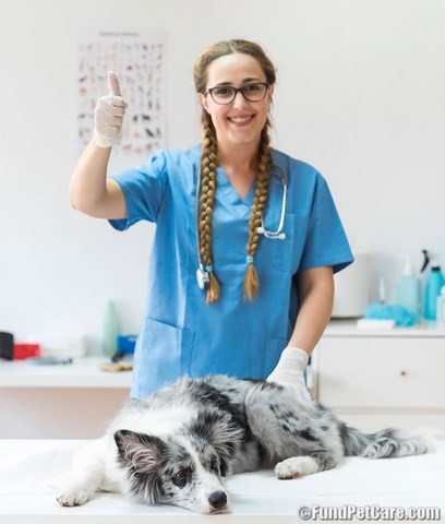 veterinarians request